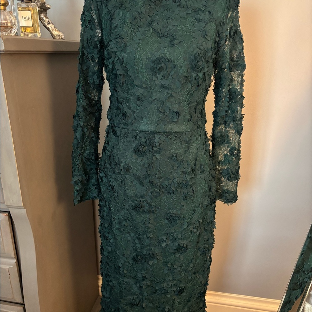Xscape Dark Green Floral Lace Long Sleeve Dress